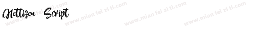 Nettizen Script字体转换